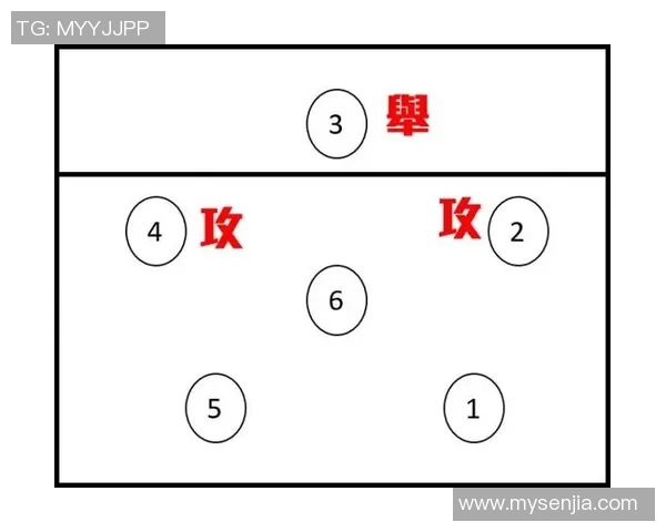 深圳排球队在挑战赛中的战术表现分析与点评探讨